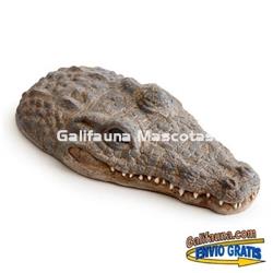 ISLA FLOTANTE COCODRILO para Tortugas, anfibios y otros reptiles. Para Tortugueras y Aqua-terrarios. - Imagen 2