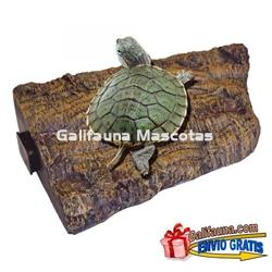 Isla para Tortuguera en esquina con imán. - Imagen 1