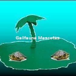 Isla para Tortuguera modelo Palmera. - Imagen 1
