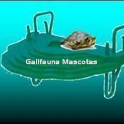 Isla para Tortuguera modelo Piscina. - Imagen 1