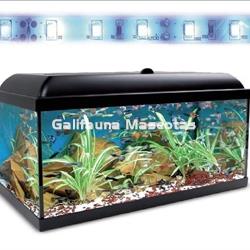 Kit acuario 100 con filtro exterior - Imagen 1