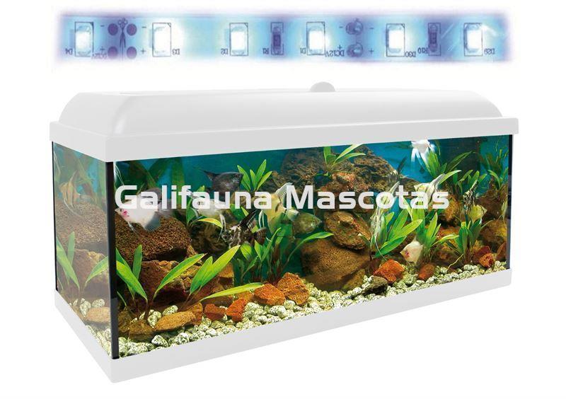 Kit acuario 100 con filtro exterior - Imagen 2