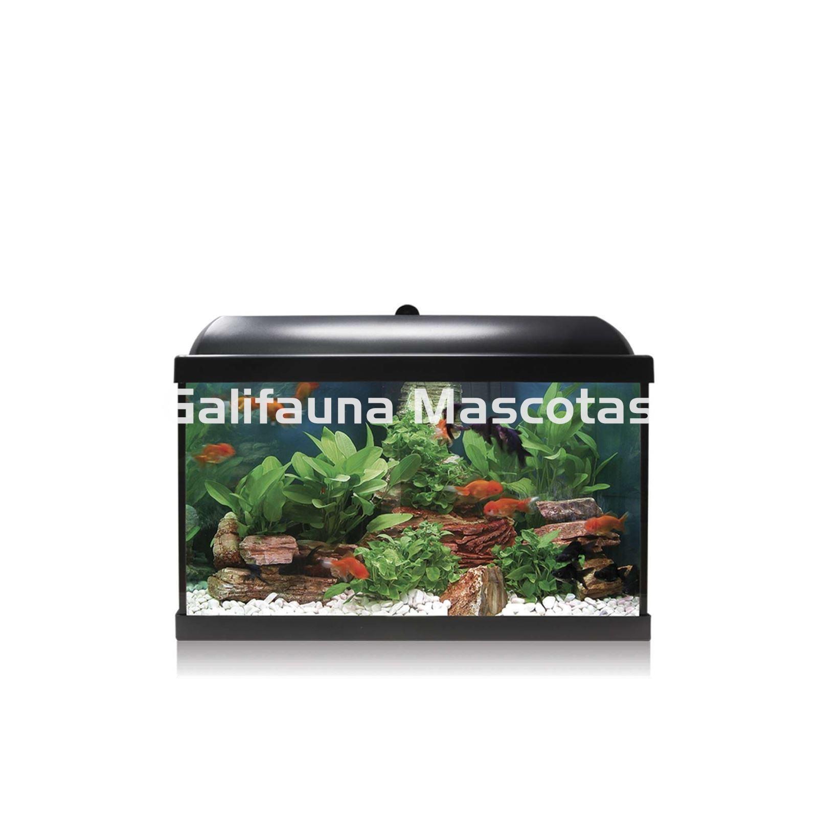 Kit acuario 38 litros - Imagen 1