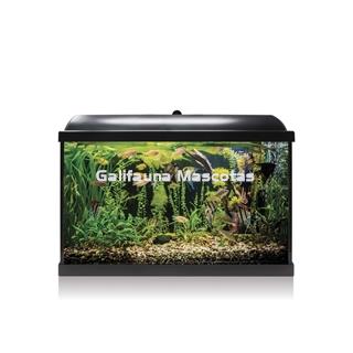 Kit acuario 68 litros (Galifauna Compra Inteligente.) - Imagen 1