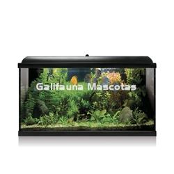 Kit acuario 88 litros (Galifauna Compra Inteligente.) - Imagen 1