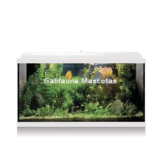 Kit acuario 88 litros (Galifauna Compra Inteligente.) - Imagen 2