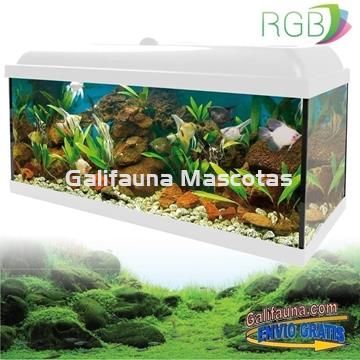 Kit acuario Aqua-LED 240 litros con iluminación RGB. Kit LED completo especial plantación. - Imagen 1