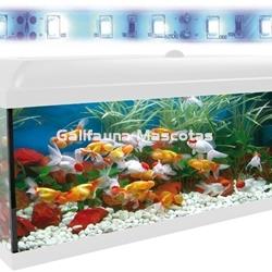 Kit acuario Aqua-LED 300 litros. Kit LED completo. - Imagen 1