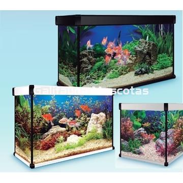 KIT ACUARIO de 120 litros AQUALUXPRO + MESA - Imagen 2