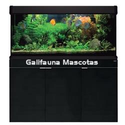 KIT ACUARIO de 240 litros AQUALUXPRO + MESA AQUA STAND - Imagen 1