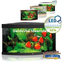 Kit Acuario esquinero Juwel TRIGON 350 litros. Un escenario perfecto en esquina de 90 grados. - Imagen 1