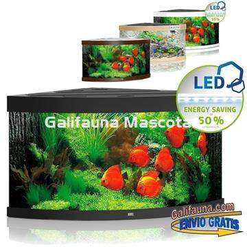 Kit Acuario esquinero Juwel TRIGON 350 litros. Un escenario perfecto en esquina de 90 grados. - Imagen 1