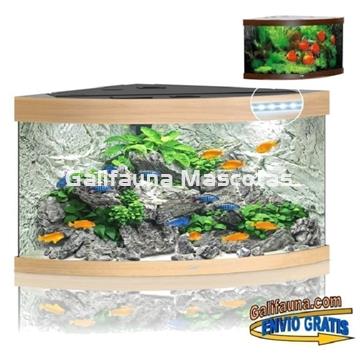 Kit Acuario esquinero Juwel TRIGON 350 litros. Un escenario perfecto en esquina de 90 grados. - Imagen 2