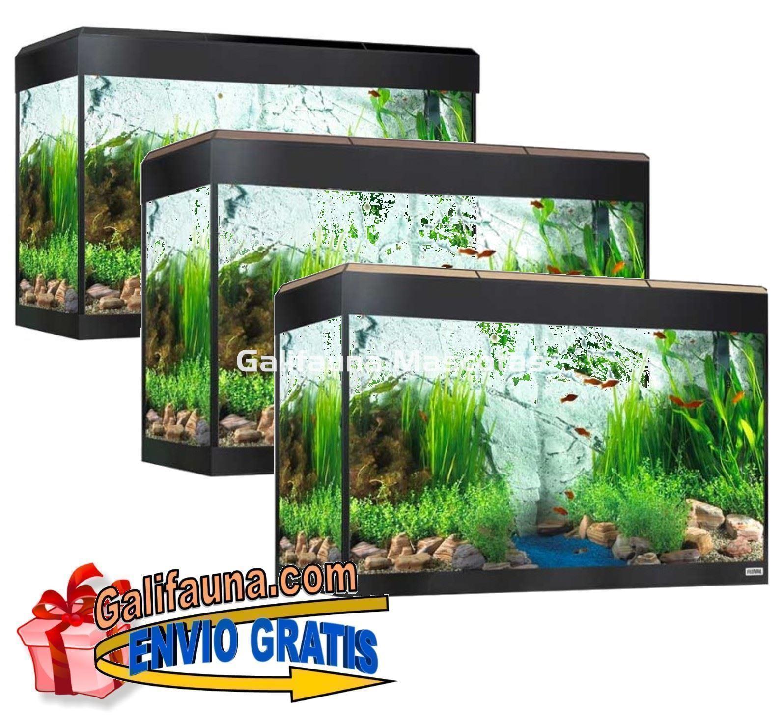 KIT ACUARIO FLUVAL ROMA 125 LED. - Imagen 2