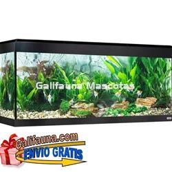 KIT ACUARIO FLUVAL ROMA 240 LED. - Imagen 1
