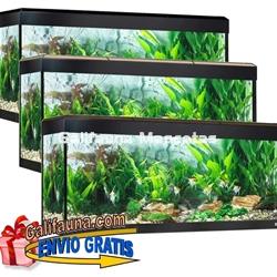 KIT ACUARIO FLUVAL ROMA 240 LED. - Imagen 2