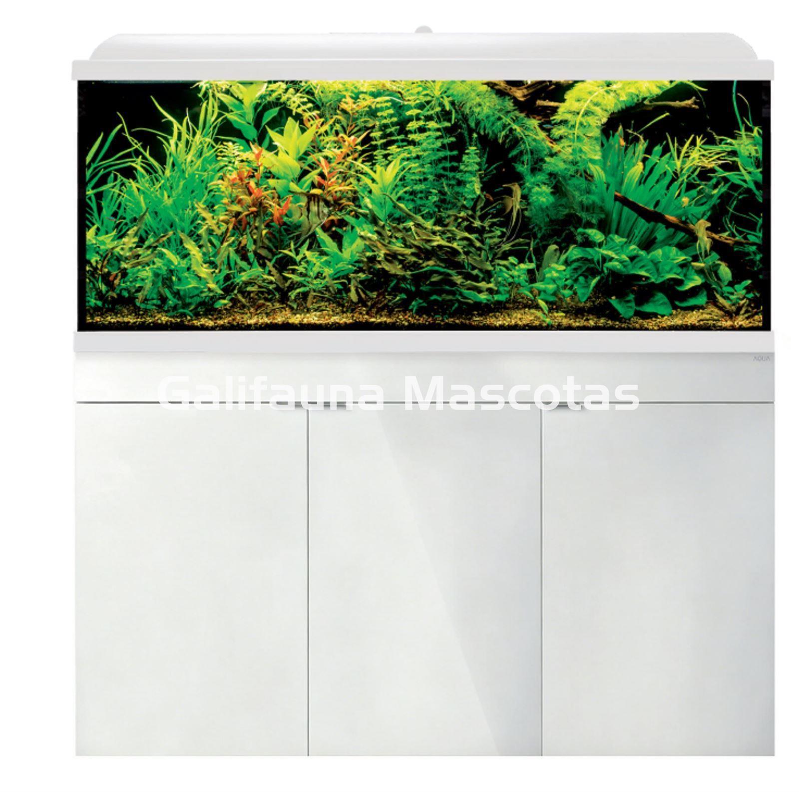 Kit acuario + Mesa Aqua-LED 240 litros. ACUARIO + MESA AQUA STAND - Imagen 1