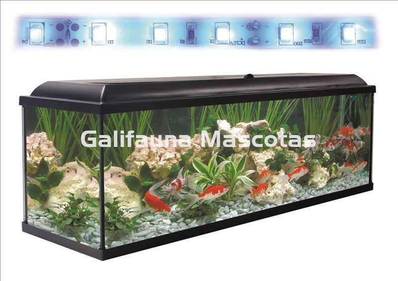 Kit acuario + Mesa Aqua-LED 240 litros. ACUARIO + MESA AQUA STAND - Imagen 2