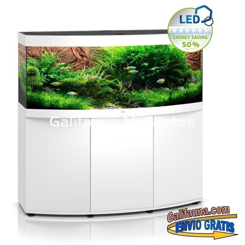 Kit Acuario + Mesa Juwel VISION 450 litros. Acuario con cristal frontal curvo. - Imagen 3