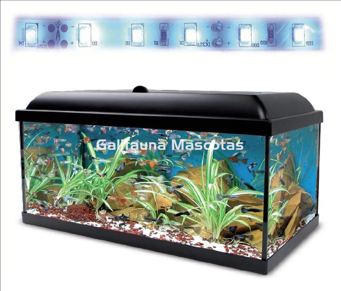 KIT AQUALED + MESA 130 L. + DOBLE REGALO. - Imagen 4