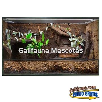 KIT Terrario completo Reptiselva. Varias medidas - Imagen 2
