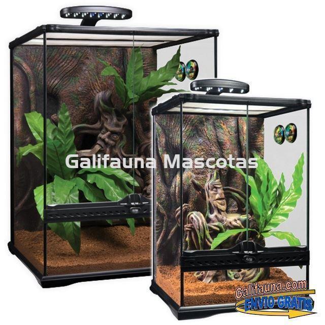 KIT Terrario  GECKO CRESTADO. Habitat para reptiles como Geckos y similares. - Imagen 2