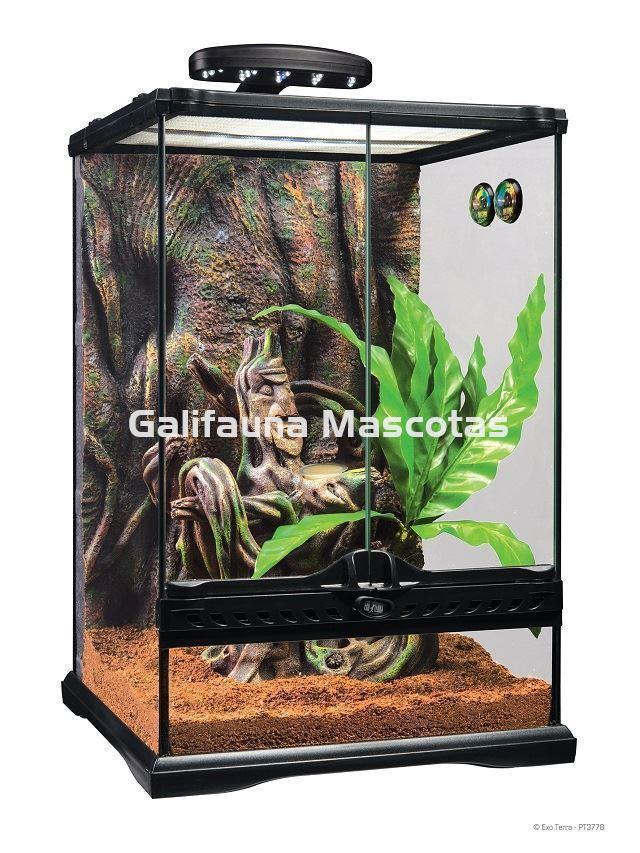 KIT Terrario  GECKO CRESTADO. Habitat para reptiles como Geckos y similares. - Imagen 4