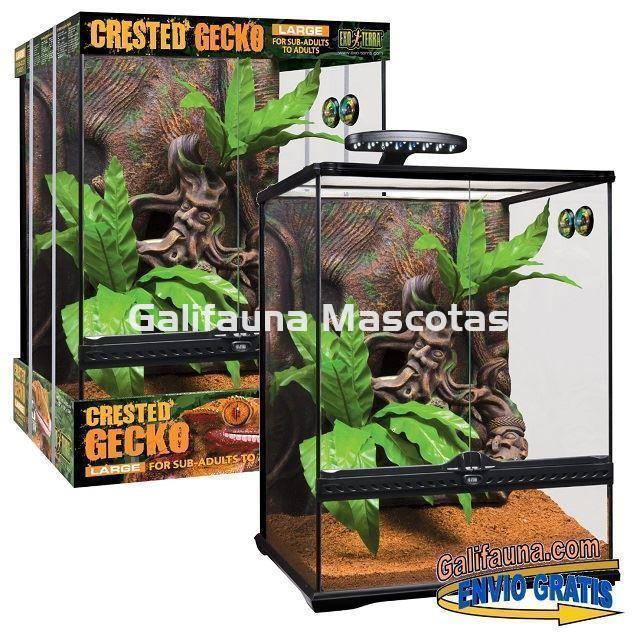 KIT Terrario  GECKO CRESTADO. Habitat para reptiles como Geckos y similares. - Imagen 5