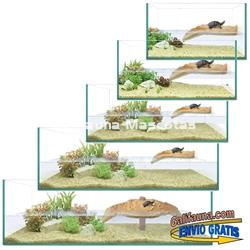 Kit Tortuguera de Cristal. Modelo Isla. Varias medidas. - Imagen 2