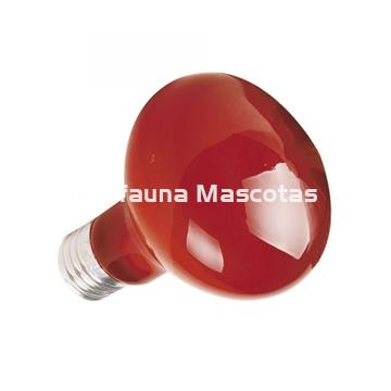 Lampara de noche infraroja para terrarios. - Imagen 2