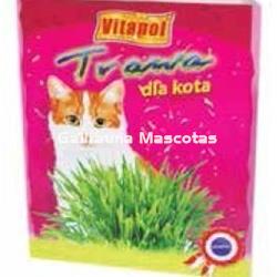 Maceta de hierva para gato. Favorece su digestión. - Imagen 1