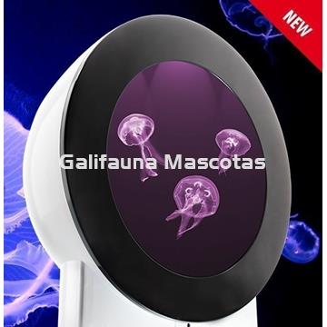 Medusario AQUA JELLY. Acuario para Medusas. - Imagen 1