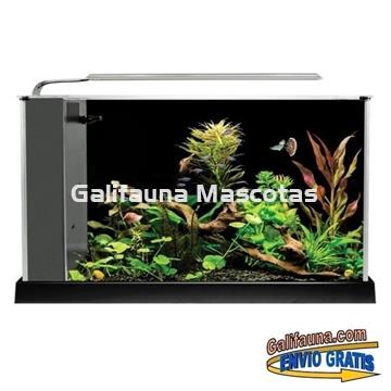 NANO ACUARIO FLUVAL SPEC 19 litros. Elegancia y diseño en un práctico acuario. - Imagen 2