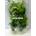 Pack de 2 Plantas de plástico 18 cm. para acuario. Decoración Acuarios. - Imagen 1