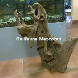 PACK de 2 Raices de Manglar gigante, unidad. - Imagen 2
