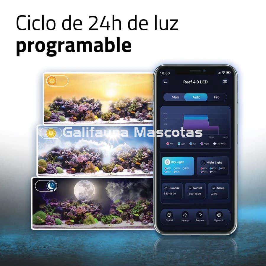 PANTALLAS DE ILUMINACIÓN REEF 4.0 - Imagen 4