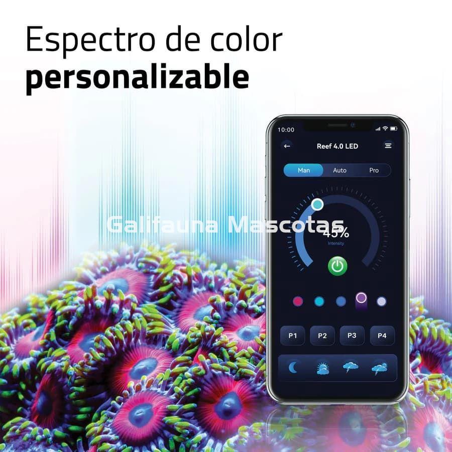 PANTALLAS DE ILUMINACIÓN REEF 4.0 - Imagen 5