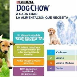 Pienso DOG CHOW Active Pollo. Altos niveles de energía. - Imagen 2