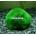 Planta natural bola de musgo (Cladophora). - Imagen 2