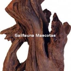 Raiz de Manglar gigante, unidad. - Imagen 1