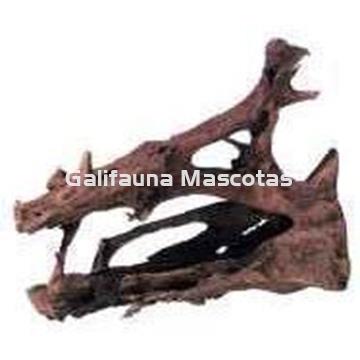 Raiz de Manglar gigante, unidad. - Imagen 2