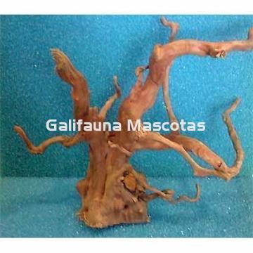 Raiz del desierto Unidad. Varios tamaños. - Imagen 2