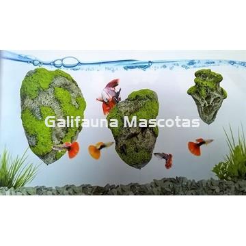 Rocas flotantes para acuario. Varios tamaños - Imagen 2