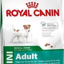 Royal Canin Mini Adult. Pienso para perro razas pequeñas - Imagen 1