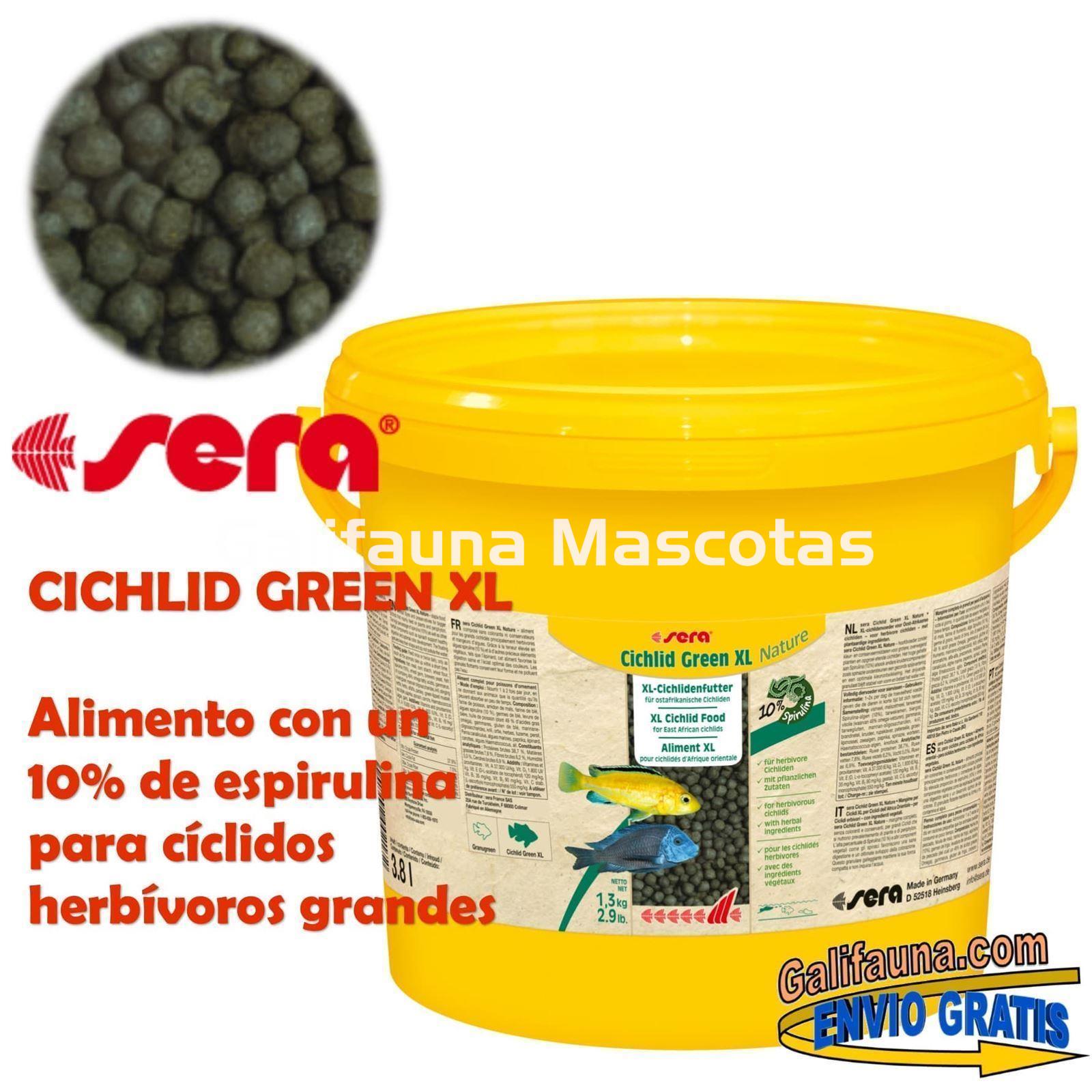SERA Cichlid Green XL  - Alimento para grandes ciclidos herbívoros. - Imagen 2