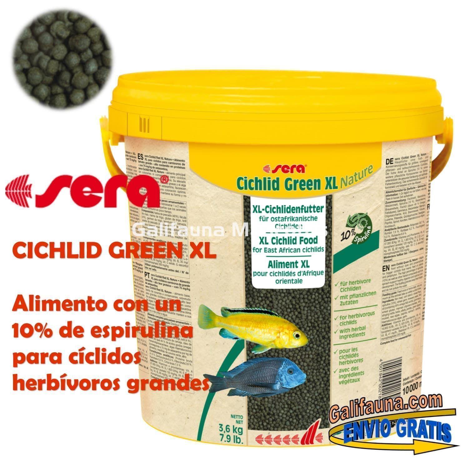 SERA Cichlid Green XL  - Alimento para grandes ciclidos herbívoros. - Imagen 3