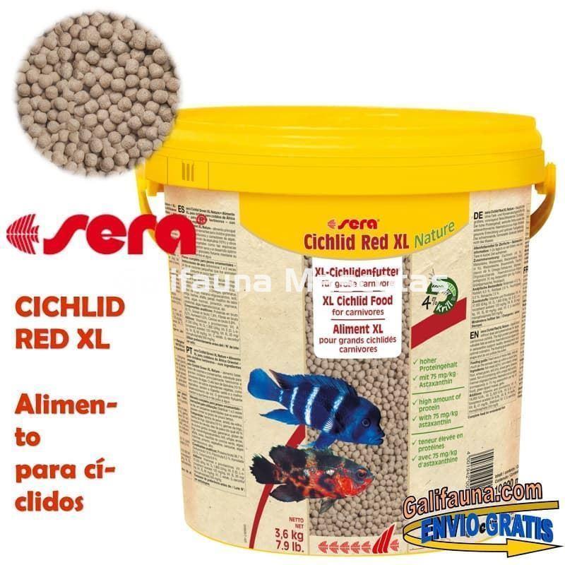 SERA Cichlid Red XL  - Alimento para grandes ciclidos carnívoros. - Imagen 4