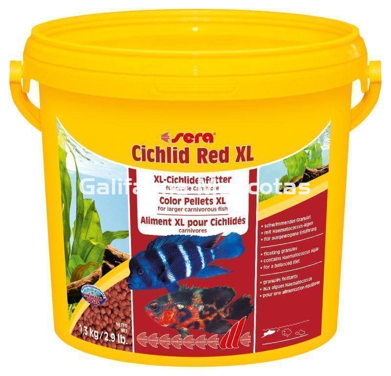 SERA Cichlid Red XL  - Alimento para grandes ciclidos carnívoros. - Imagen 6