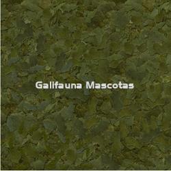 Sera Flora 100 ml. Aporte vegetal con espirulina. - Imagen 2