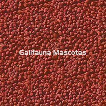 SERA Goldy gran BOTE GIGANTE. Granulado para carpas y otros peces agua fria - Imagen 2